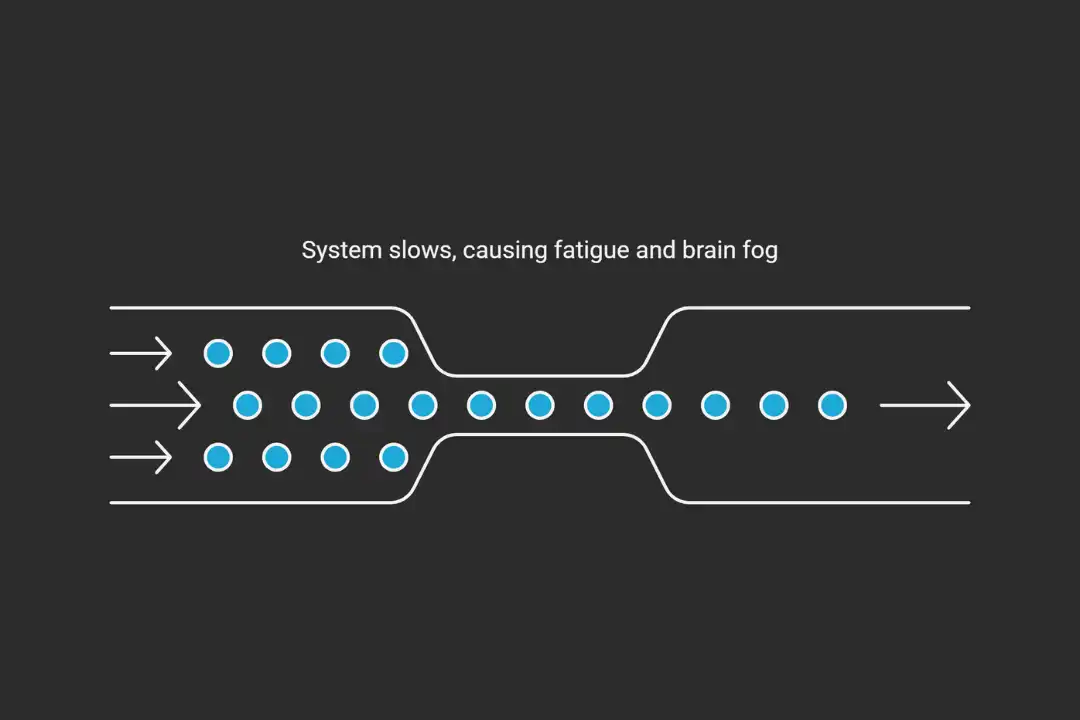 Do You Really Need a Detox? A Functional Nutritionist’s Perspective When Your Body May Actually Need Support